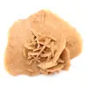 Marockos lilla ökenros: naturligt geologiskt fragment - 11
