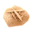 Mineralrosett från Marocko: gipskristallisering - 0