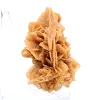 Fragment av kristalliserat gips från Algeriet - 3