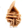 Mineralbukett av kristalliserad sand - 3