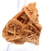 Mineralblad från den algeriska Sahara - 2