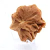 Kristallformation av gips 65 g - 3
