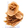 Kristalliserade sandblad, Algeriet - 0