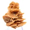 Kristalliserade sandblad, Algeriet - 3