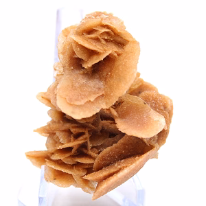 Kristalliserade sandblad, Algeriet