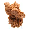 Saharan gipskristallint kluster - 0