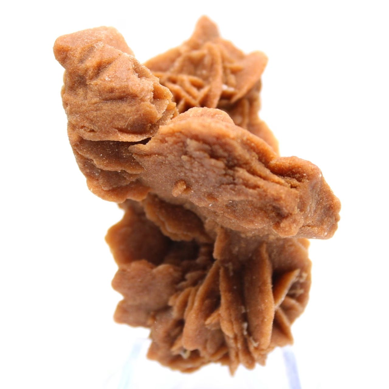 Saharan gipskristallint kluster