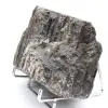 Stor svart turmalin från Madagaskar - Autentisk mineral - 2