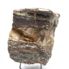 Mineralogiskt prov - Rå svart turmalin Madagaskar - 0