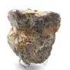 Mineralogiskt prov - Rå svart turmalin Madagaskar - 2