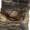Mineralogiskt prov - Rå svart turmalin Madagaskar - 5