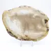 Skiva av brasiliansk agatgeod - 0