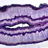 Mineraldekoration: Skiva av brasiliansk purpuragat - 2
