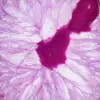 Naturlig rosafärgad agatskiva - 2