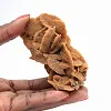 Mineralstrukturen i den algeriska öknen - 1