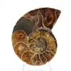Ammonit från Madagaskar: Mineralogiprov - 1