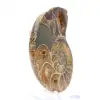 Ammonit från Madagaskar: Mineralogiprov - 3