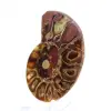 Ammonit från Madagaskar: Mineralfinhet - 2