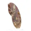 Ammonit från Madagaskar: Mineralfinhet - 3
