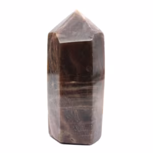Microcline Collection Prism - Intensiv svart månsten