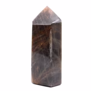 Microcline Collection Prism - Svart månstensmineral