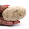 Madagaskisk fältspatsten – Mineralogiprov - 0