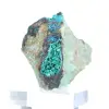 Mineralogiskt prov av grön brochantit från Chile på bas - 4