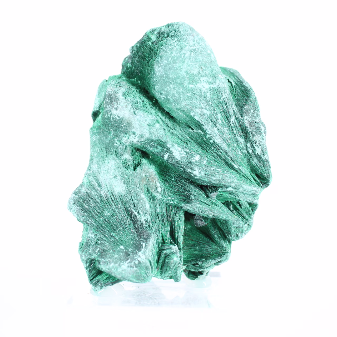 Silkig malakit från Kongo-Kinshasa, samlarmineral på sockel