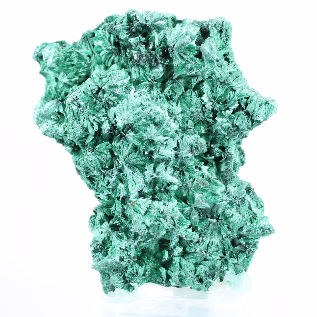 Fibrös malakit med platt profil från DRK, dekorativt mineral på sockel