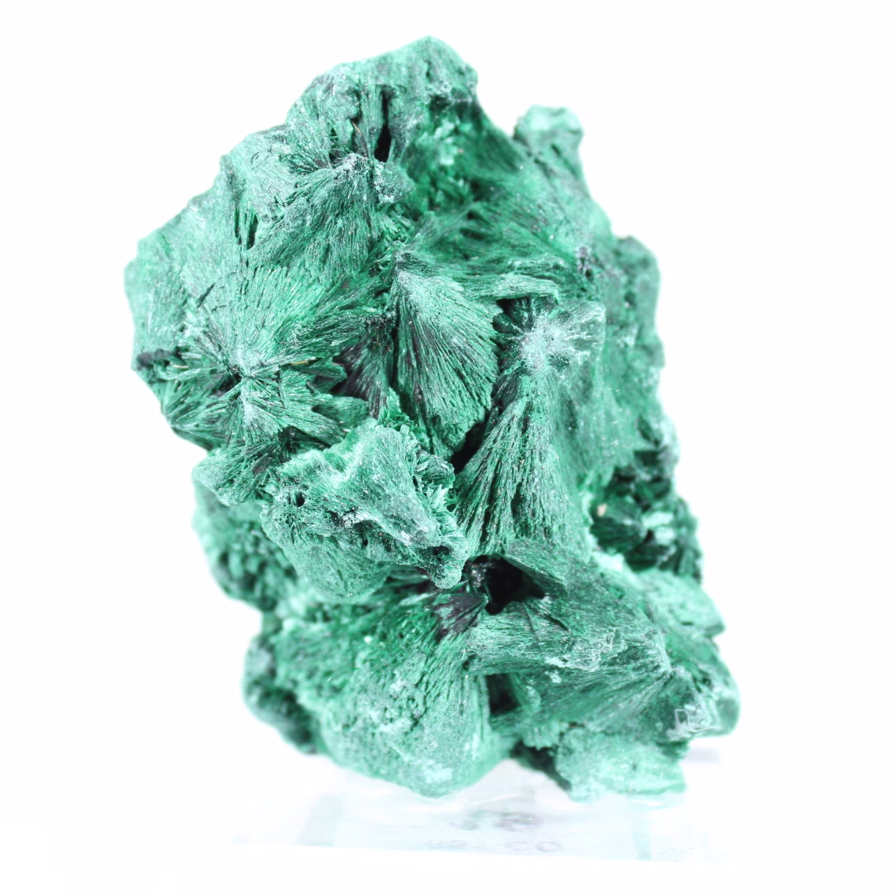 Tät malakit med tätsittande fibrer från Kongo, mineral på akryl