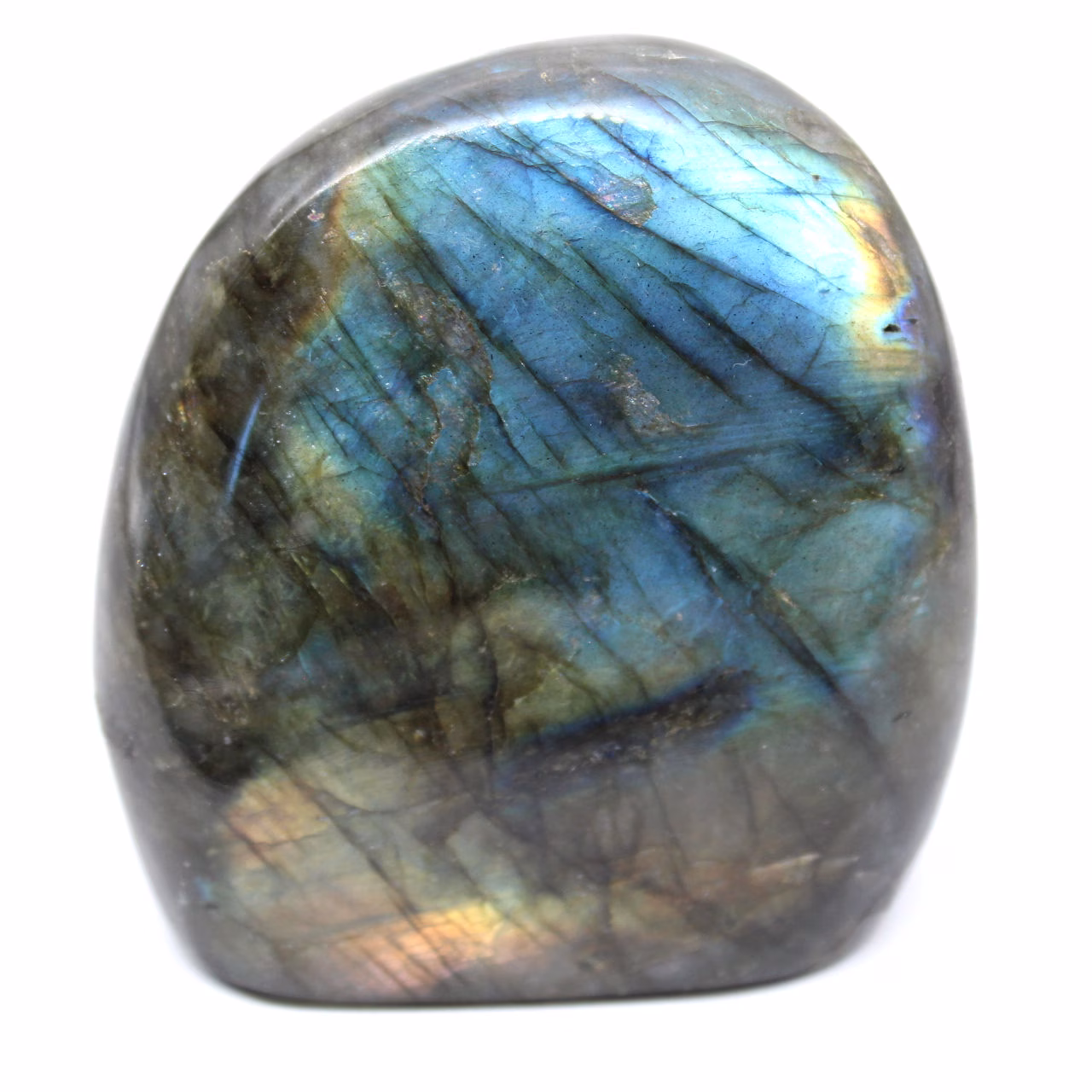 Mineralexemplar Polerad Labradorit med Ursprung Madagaskar