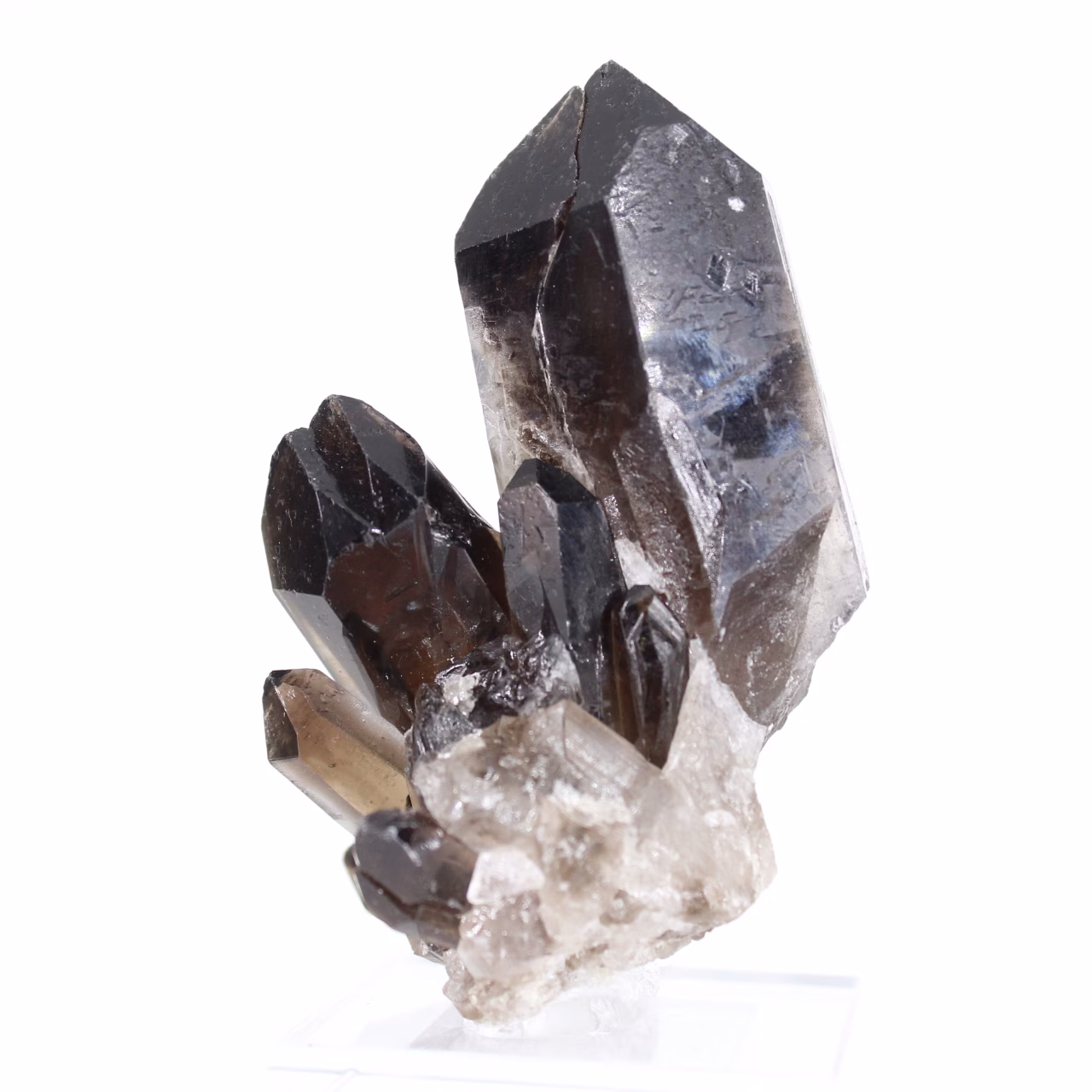 Kraftig morionkvartskristall från Brasilien, mineralexemplar på sockel