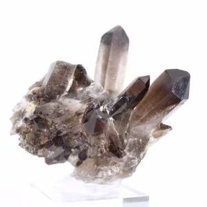 Morionkvartskristall från Brasilien, svart mineral monterat på sockel