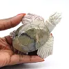 Sköldpadda snidad i naturlig täljsten från Bolivia - 0