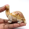 Diplodocus snidad i boliviansk täljsten - 0