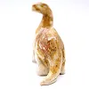 Diplodocus snidad i boliviansk täljsten - 4